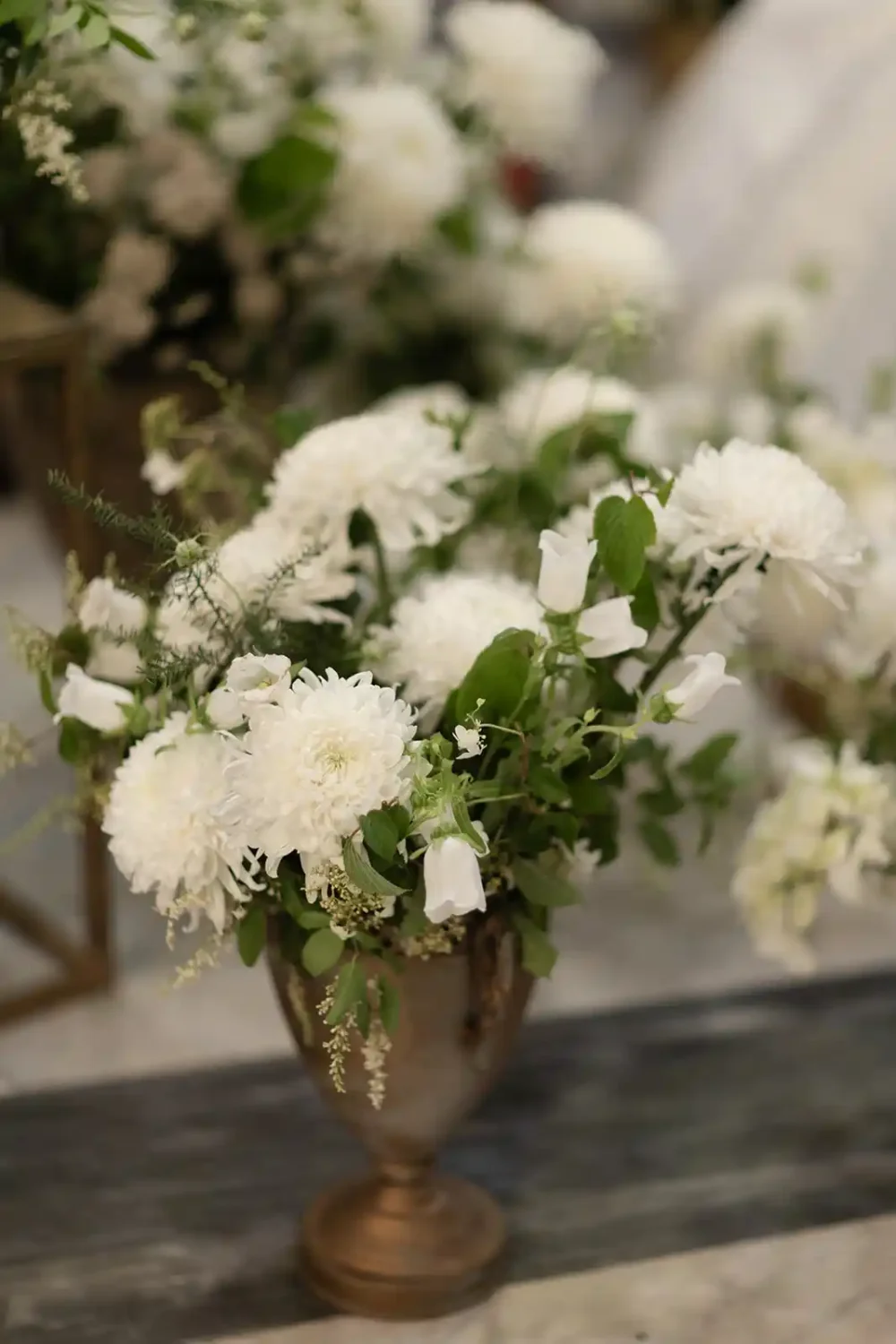 NL 19May25 256 compressed 34